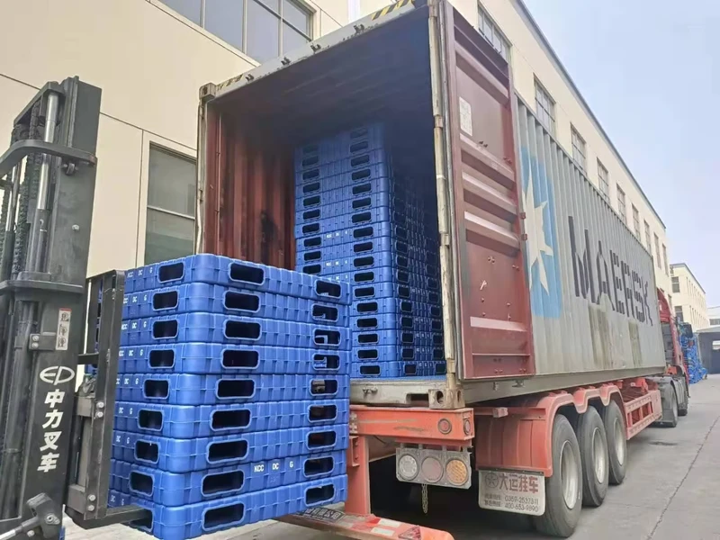 Custom-Size-Industrial-Heavy-Duty-Lightweight-Blow-Molded-Plastic-Pallets-for-Pharmaceutical-Industry